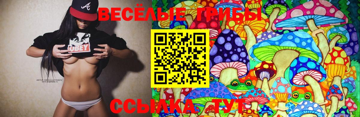 Галлюциногенные грибы Magic Shrooms  Псилоцибиновые грибы Magic Shrooms  Новокуйбышевск  Вход с VPN 