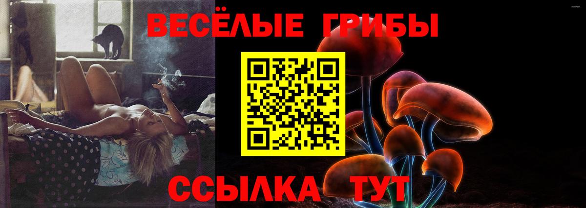 Псилоцибиновые грибы Magic Shrooms Новокуйбышевск